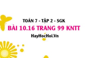Bài 10.16 trang 99 Toán 7 Tập 2 Kết nối tri thức